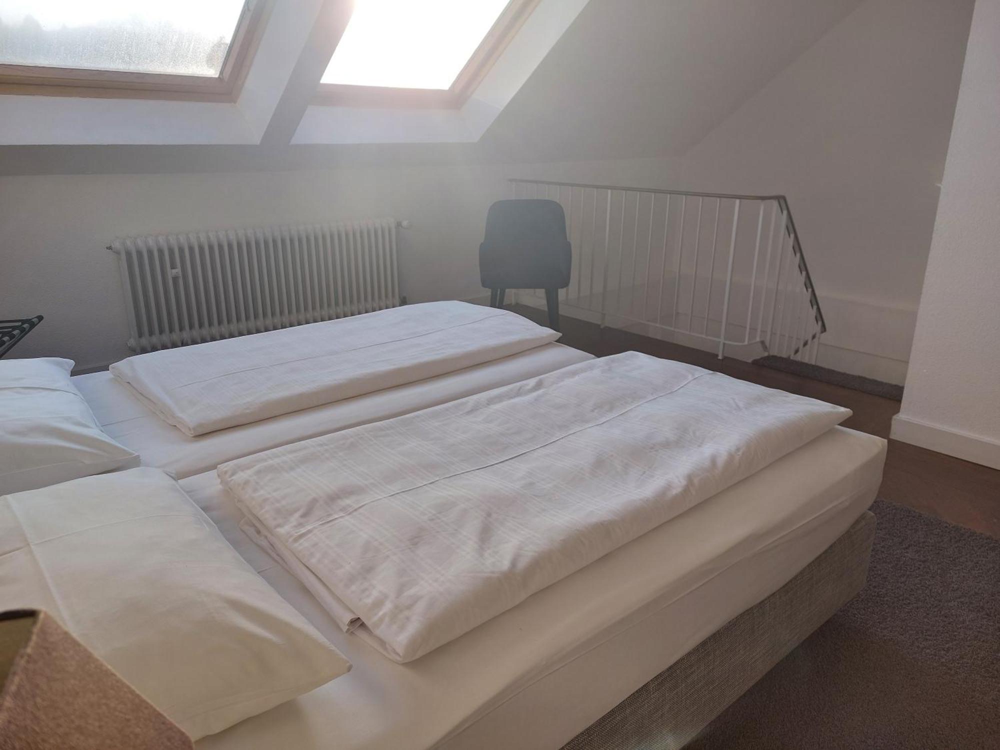 Hotel Friederike مولهايم ان الرور دير المظهر الخارجي الصورة